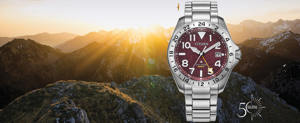 Banner Mes de la Tierra (BJ7150-50W)